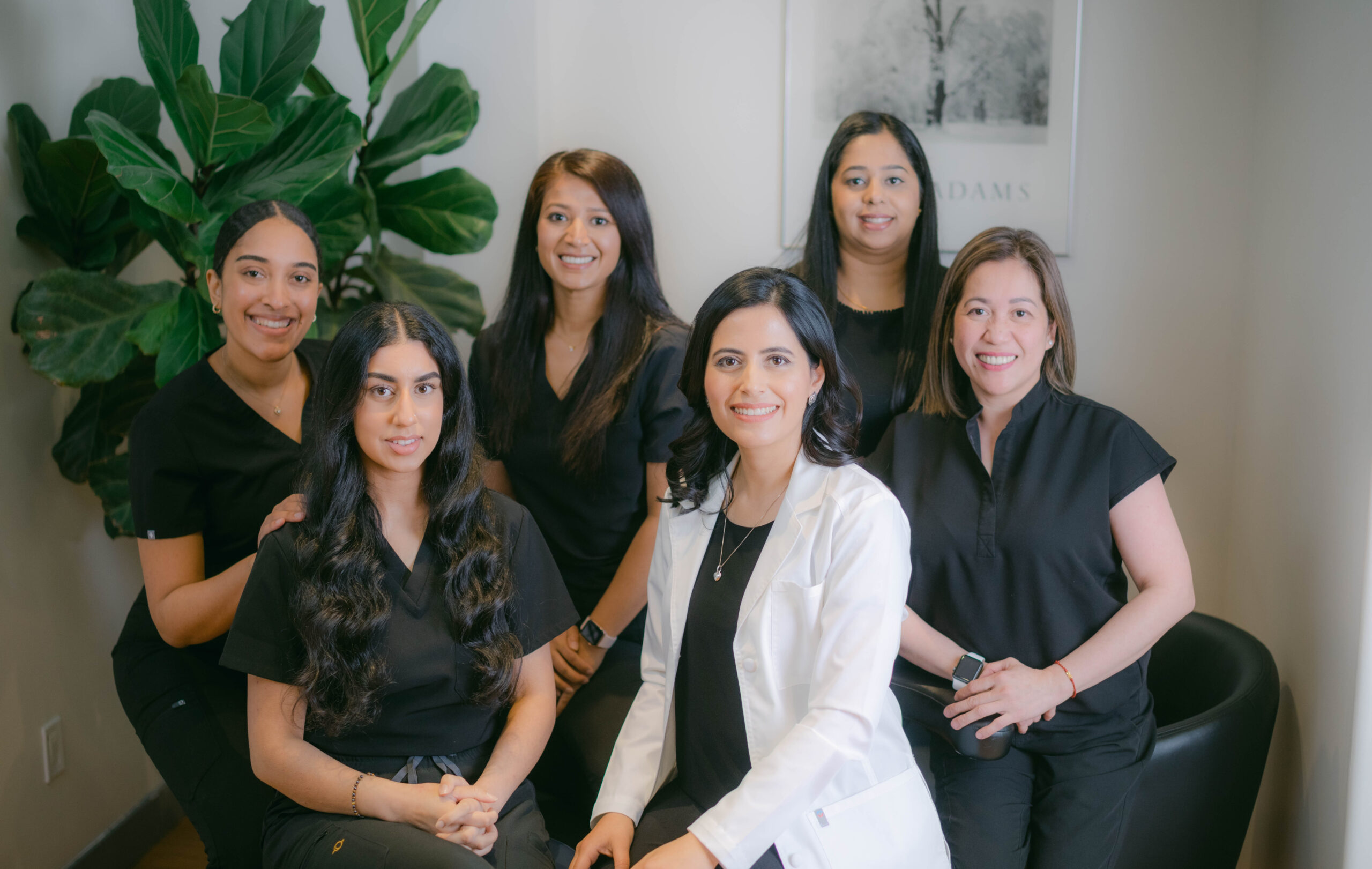 south hill dentist team